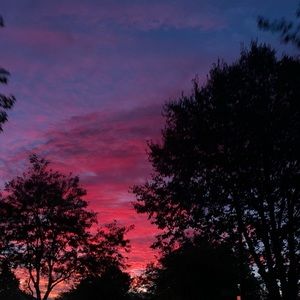 Meet your Posher, Molly